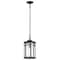 Nuvo Raiden Outdoor Hanging Lantern 1 Light Matte Black 60/5759 - alternate 1